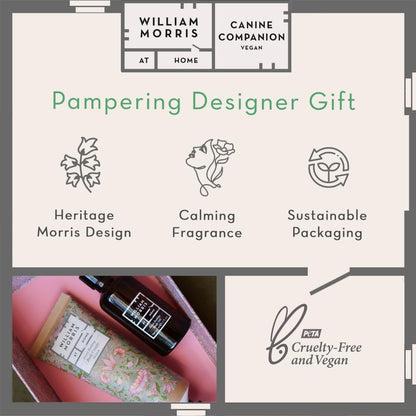 Forest Bathing Body Care Set | Body Cream 100Ml & Body Oil 45Ml